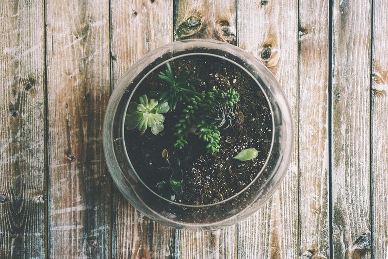 Planetary Terrariums